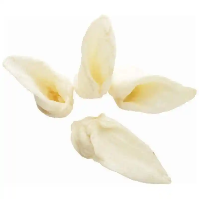 Natural Lamb Ear