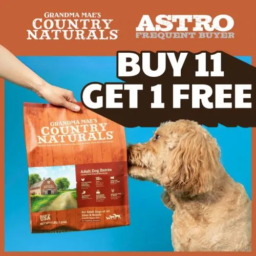 Promotion Image