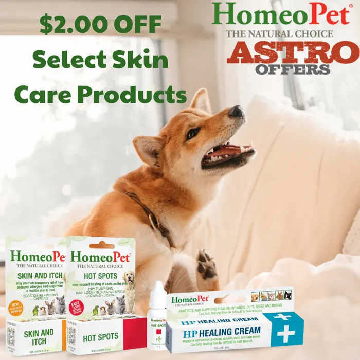 Promotion Image