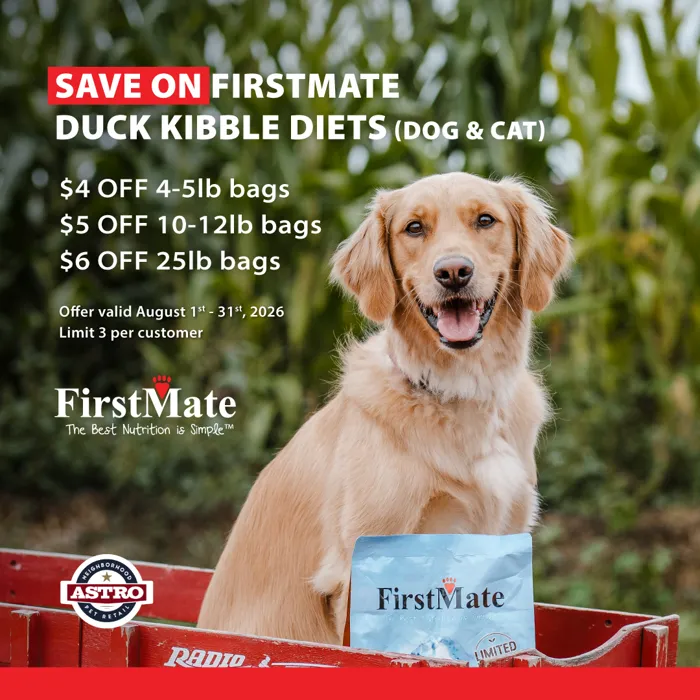 Promotion Image