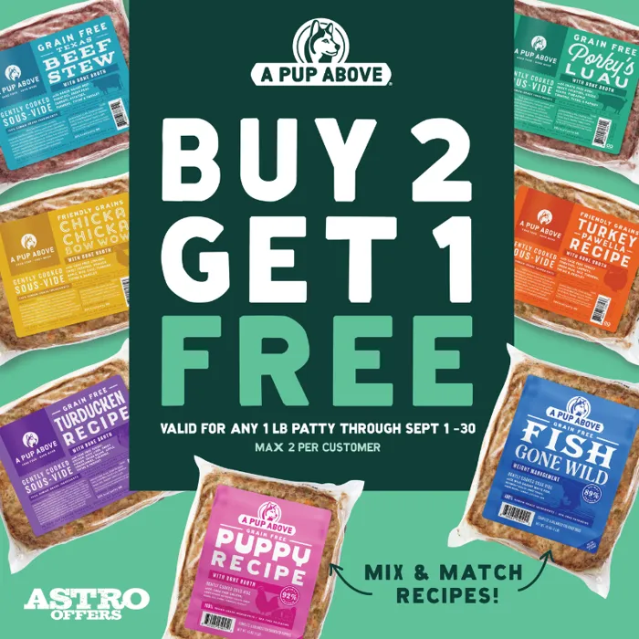Promotion Image