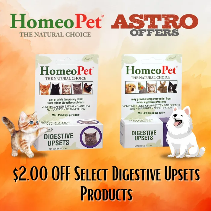 Promotion Image