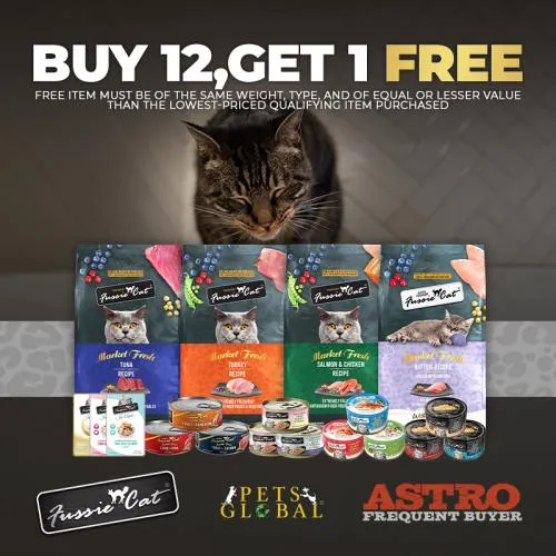 Promotion Image