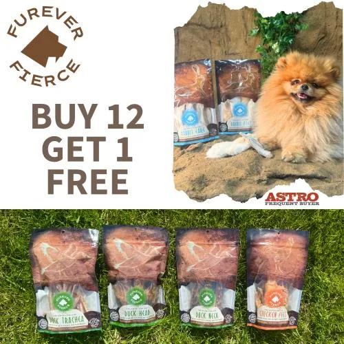 Promotion Image