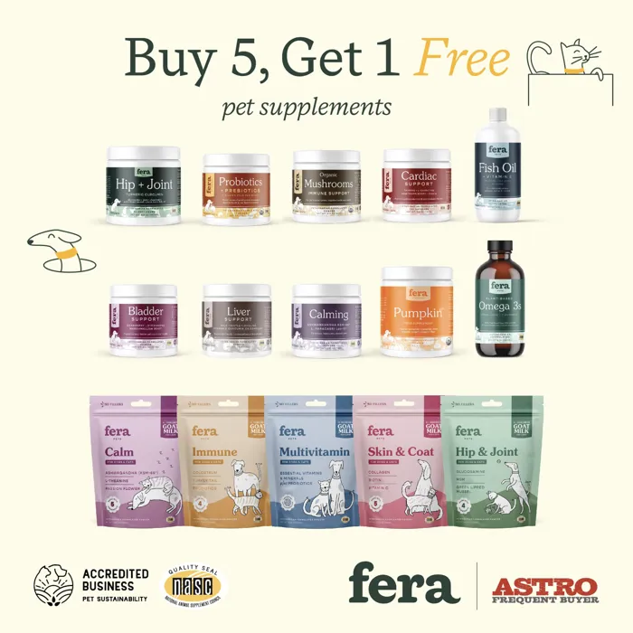 Promotion Image