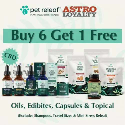 Promotion Image