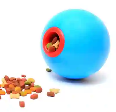 Image Alternative Text