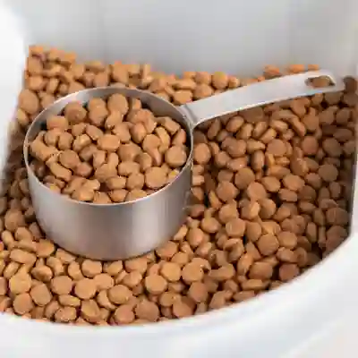 Image Alternative Text
