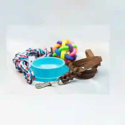 Image Alternative Text