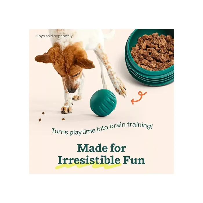 Woof Dog Treat Forager Puzzle Treats 5 oz