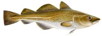 Icelandic+ Cod Skin Rolls 3-oz