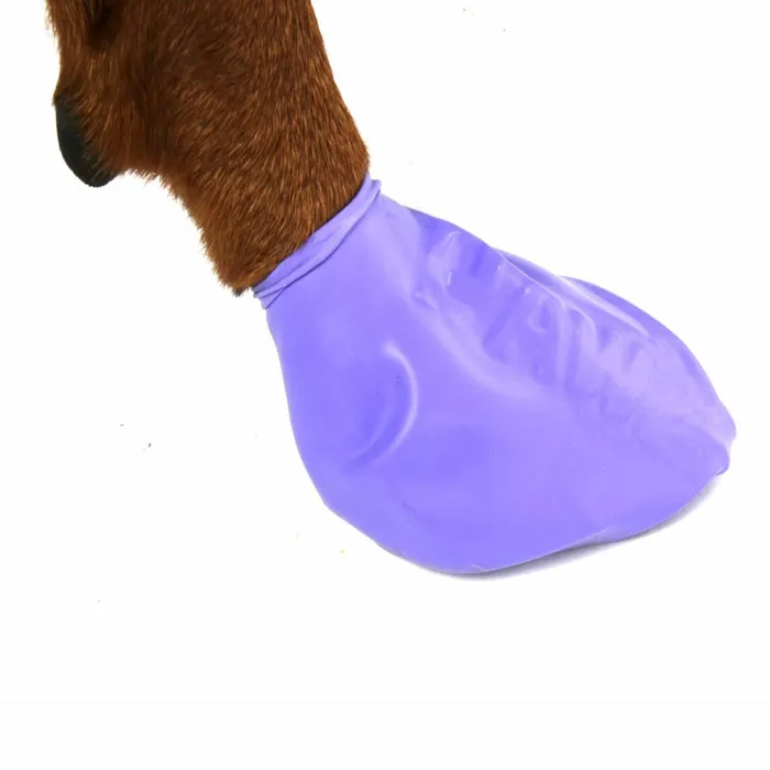 Pawz Waterproof Dog Boots purple large boot close-up