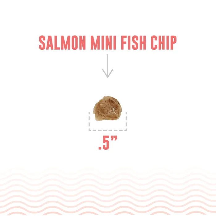 Icelandic+ Dog Treat Salmon Fish Chips Small Dog 2.5oz Bag