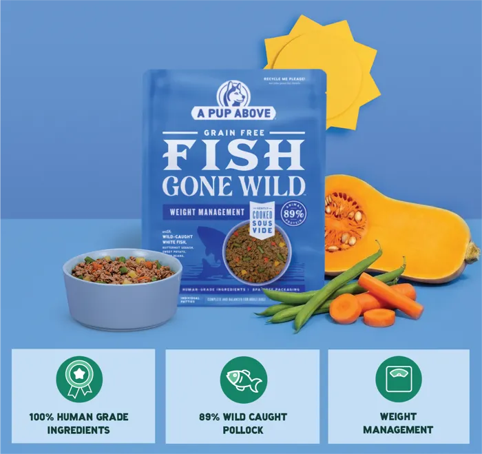 A Pup Above Fish Gone Wild bag with food bowl