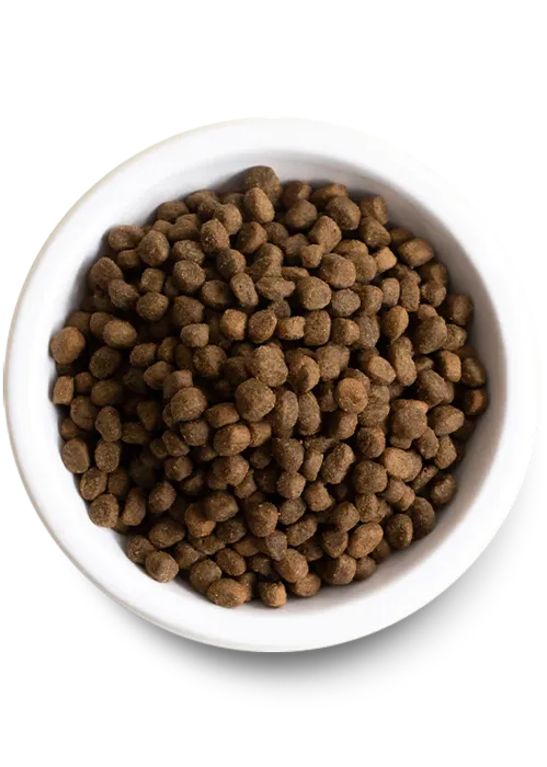 OF Puppy Chicken Salmon Ancient Grain 4 #