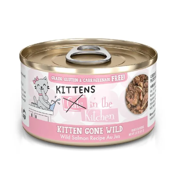 Weruva Cat Cik Gf Kitten Gone Wild Salmon Can 3 Oz