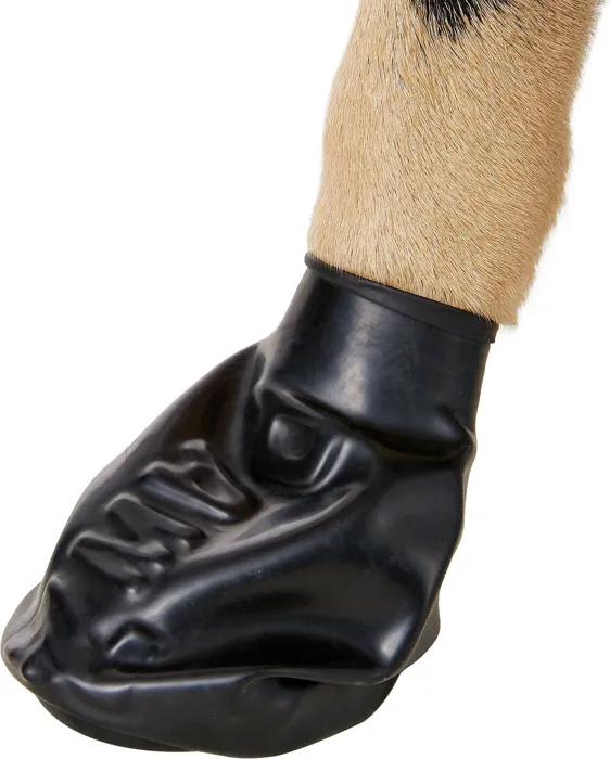 Waterproof Dog Boots, Black, 12 Count X-small