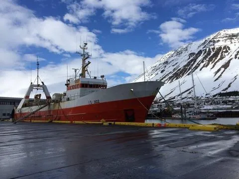 Icelandic+ Cod Skin Rolls 3-oz