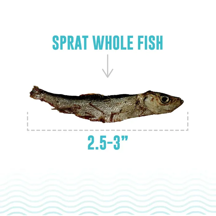 Icelandic Cat Sprat Whole Fish .85oz