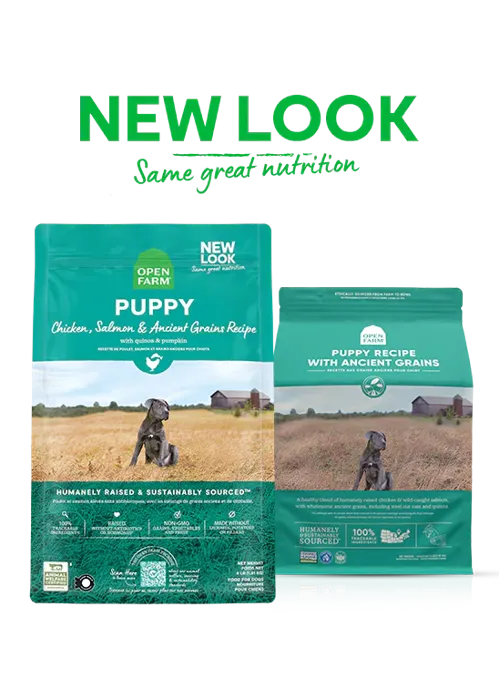 OF Puppy Chicken Salmon Ancient Grain 4 #