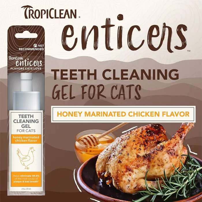Cat Enticers Dental Gel Chicken 2-oz