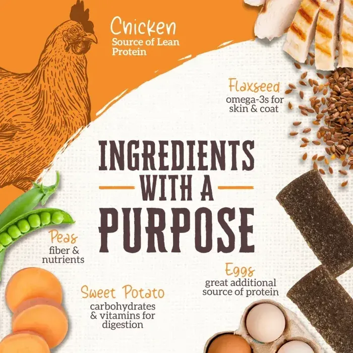 Wholesomes Rewards Chewy Strips Chicken 25 oz