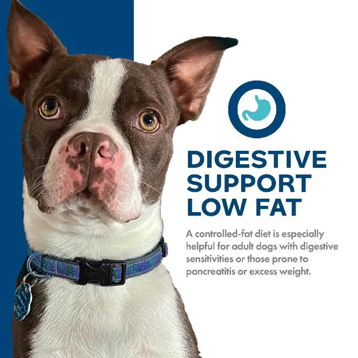 Fromm Nutritionals Digestive Support 26 #