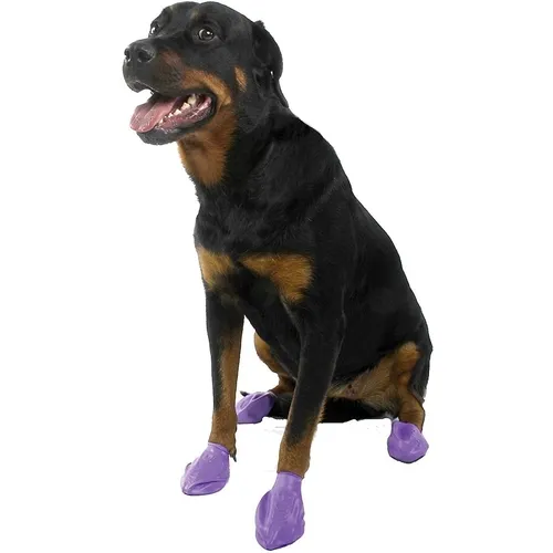 Waterproof Dog Boots, Purple, 12 Count Large