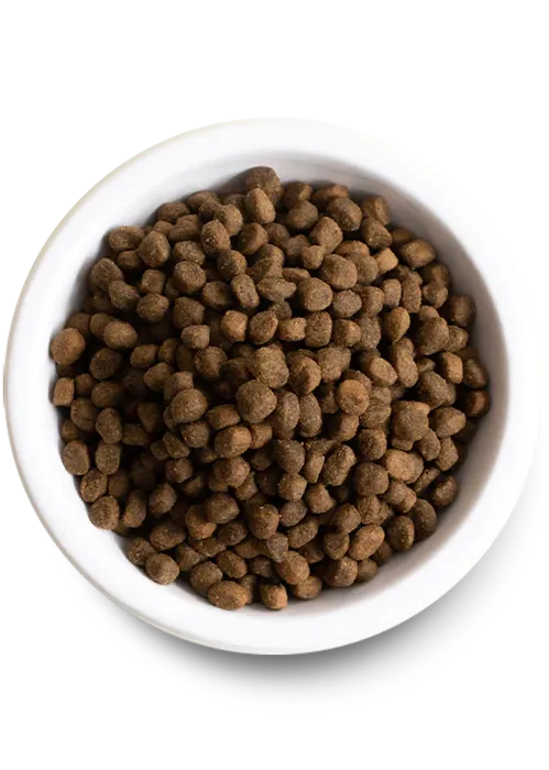 Open Farm Puppy Ckn & Slmn Grain-free Dry Dog Food, 4-lb