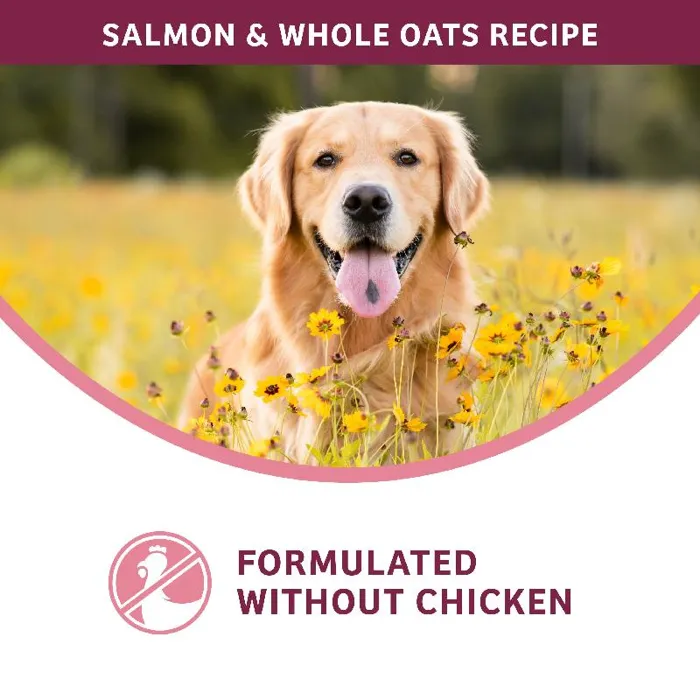 Fromm Nutritionals Dd 4lb/5 Sensitive Skin Stomach Slmn