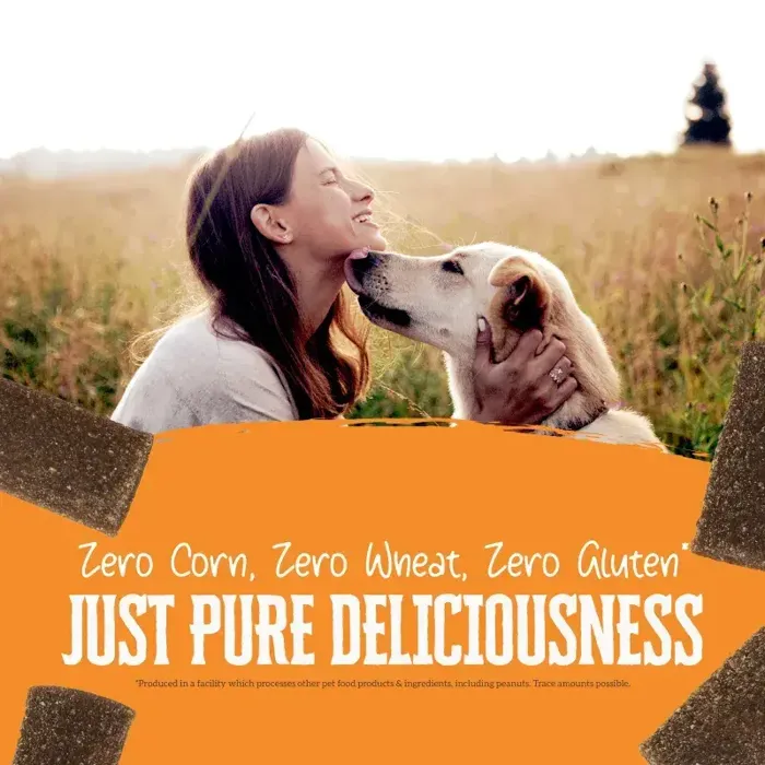 Wholesomes Rewards Chewy Strips Chicken 25 oz