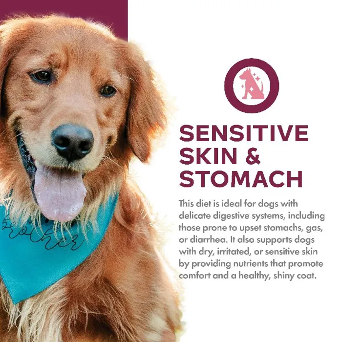 Fromm Nutritionals Dd 4lb/5 Sensitive Skin Stomach Slmn