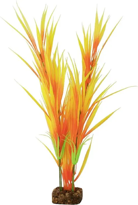 Tetra Plant Glofish Orange/yellow Small