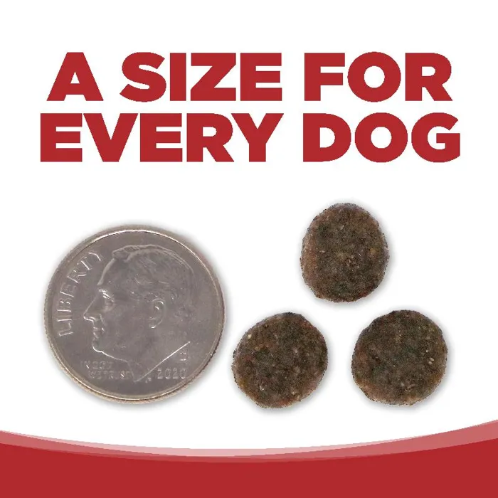 PureVita Beef & Red Lentils 12 lb kibble size comparison
