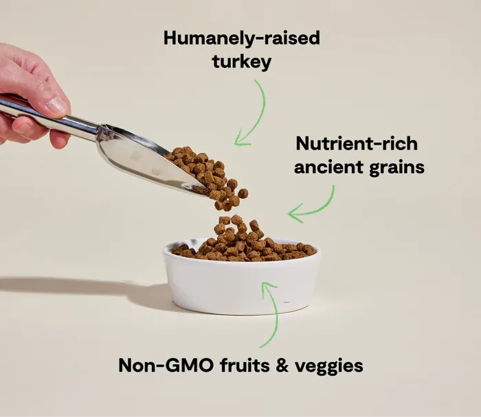 Open Farm Homestead Turkey Ancient Grains kibble scoop